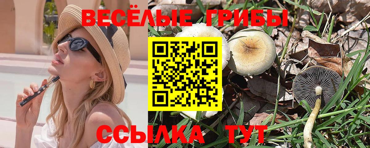 Псилоцибиновые грибы Psilocybine cubensis  Вход с VPN  Сафоново  Галлюциногенные грибы GOLDEN TEACHER 