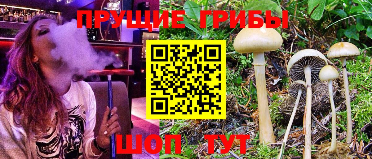 Псилоцибиновые грибы прущие грибы Сафоново